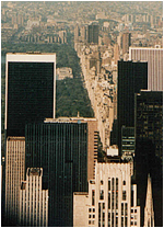 Manhattan skyline seen from Empire State Building